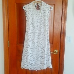 NWT white lace Francesca's dress with nude lining